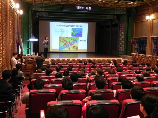 20면 알콘 사진3