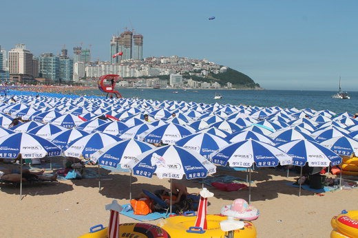 업계동향-케미렌즈0546