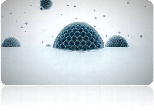 21면  알콘 그림2