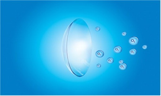 20면 알콘 기고2