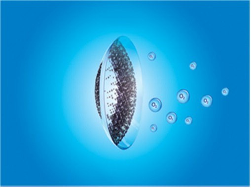 20면 알콘 기고 3