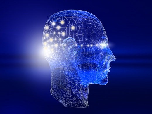 8면 호야렌즈 draadmodel head hr