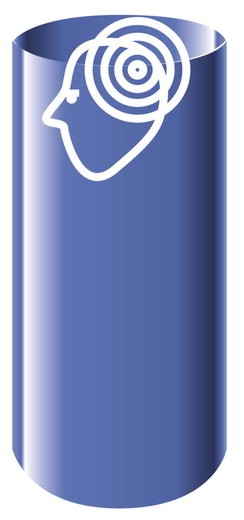 8면 호야 시각적 인지 사진