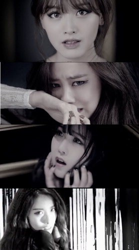 렌즈스토리 스타마케팅