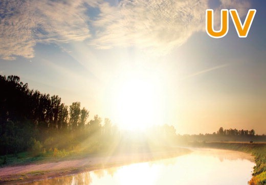 14면 자외선 관련 사진.