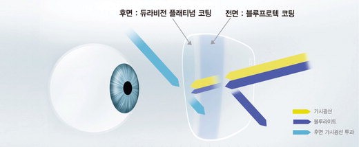 13면 자이스