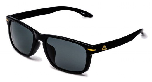 아리아 아거스 bk