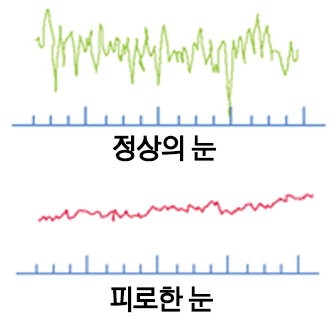 에실로학술1