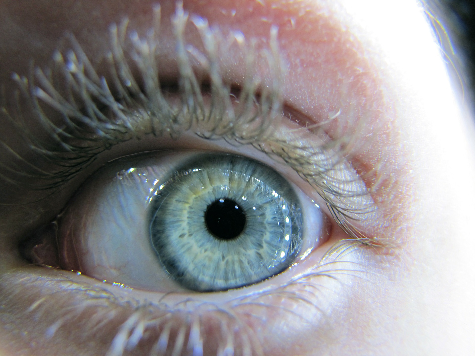 컬러 속눈썹으로 포인트를 줄 수 있다(사진=픽사베이)