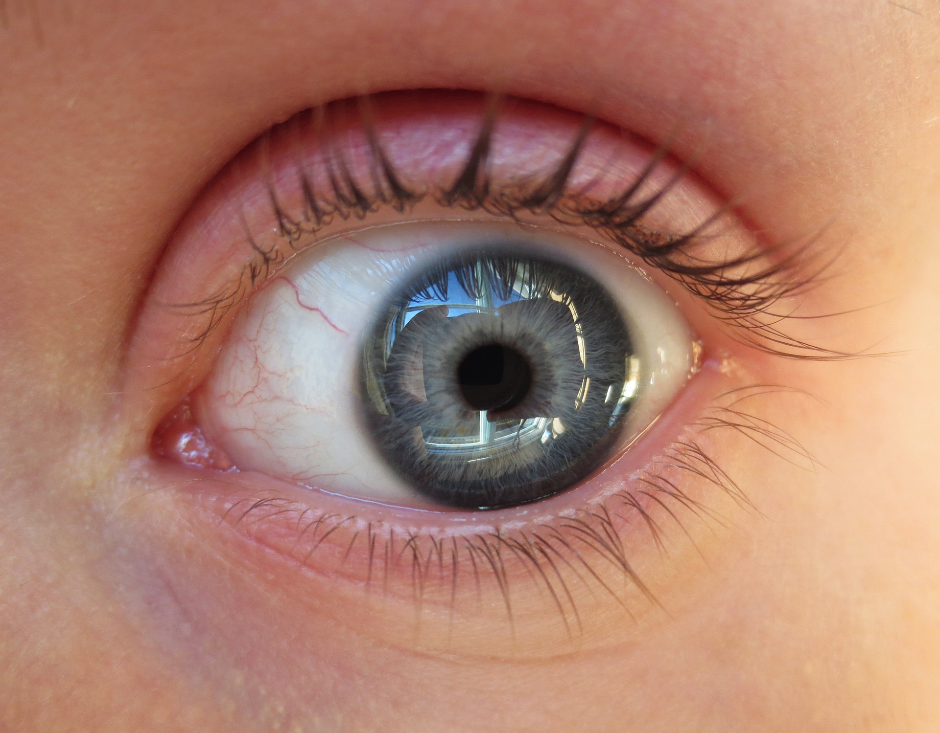 눈의 건강을 위해 '빌메루'를 꾸준히 섭취해야 한다(사진=픽사베이)