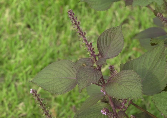 출처 : doopedia.co.kr