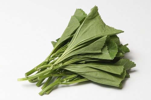 출처: 네이버 지식백과