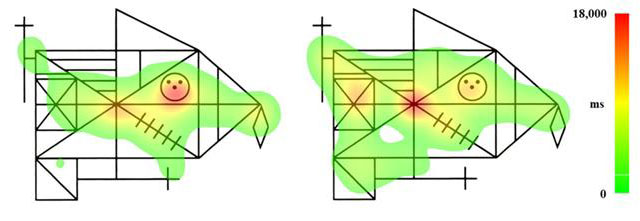 (좌) 강박증 환자의 안구 움직임, (오) 일반인의 눈동자 움직임. 출처: 서울대병원